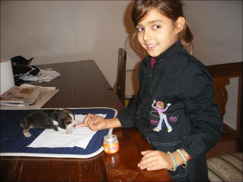 cuccioli amelie-38